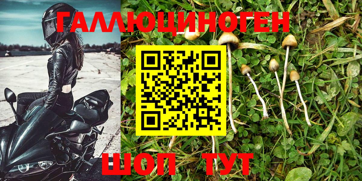 Галлюциногенные грибы прущие грибы Острогожск